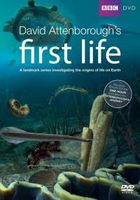 Początki życia według Davida Attenborough torrent